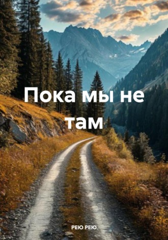 Обложка книги «Пока мы не там»