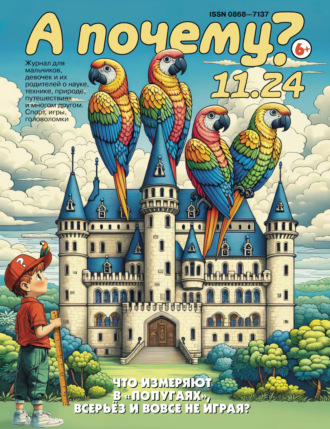 Обложка книги «А почему? №11/2024»