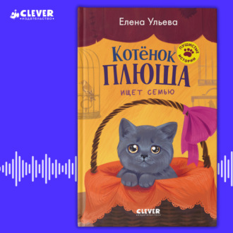 Обложка книги «Котенок Плюша ищет семью»