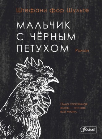 Обложка книги «Мальчик с чёрным петухом»