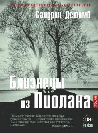 Обложка книги «Близнецы из Пиолана»