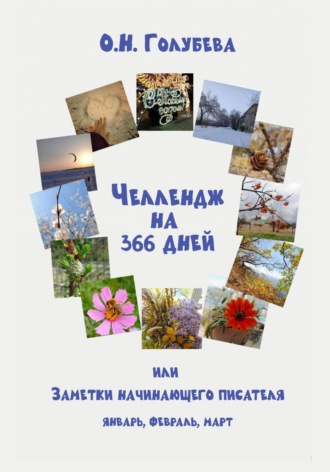 Ольга Голубева. ЧЕЛЛЕНДЖ НА 366 ДНЕЙ, или Заметки начинающего писателя Часть 1