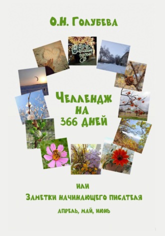 Ольга Голубева. ЧЕЛЛЕНДЖ НА 366 ДНЕЙ, или Заметки начинающего писателя. Часть 2