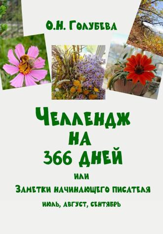 Обложка книги «ЧЕЛЛЕНДЖ НА 366 ДНЕЙ. Часть 3. Июль, август, сентябрь.»