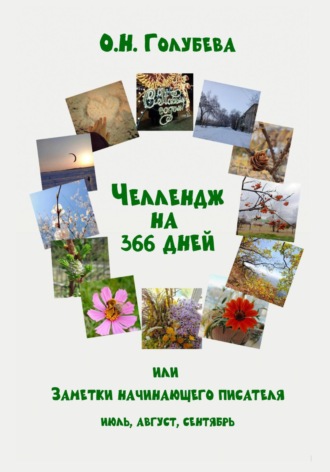 Ольга Голубева. ЧЕЛЛЕНДЖ НА 366 ДНЕЙ, или Заметки начинающего писателя. Часть 3