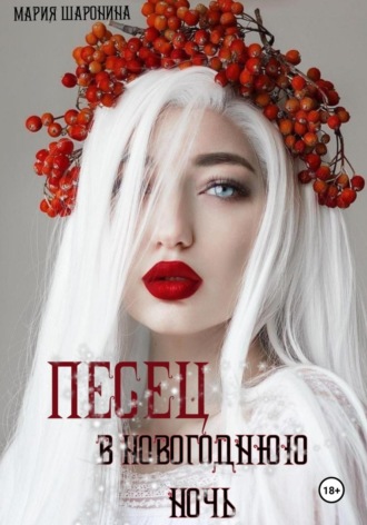 Обложка книги «Песец в новогоднюю ночь»