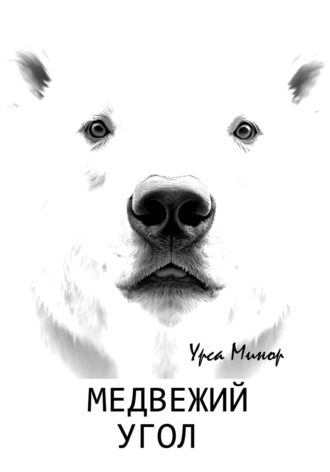 Обложка книги «Медвежий угол»