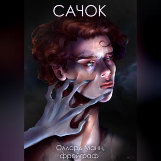 Обложка книги «Сачок»