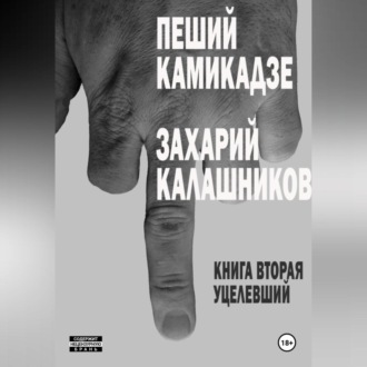 Обложка книги «Пеший камикадзе. Книга вторая. Уцелевший»