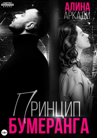 Обложка книги «Принцип бумеранга»