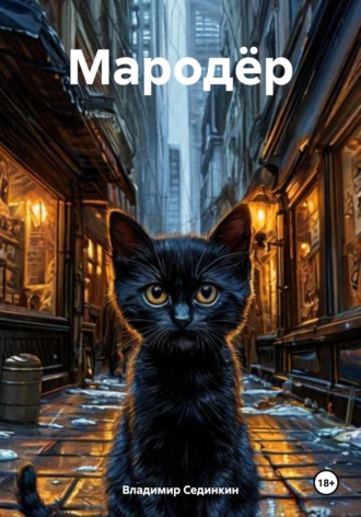 Обложка книги «Мародёр»