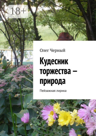 Олег Черный. Кудесник торжества – природа. Пейзажная лирика