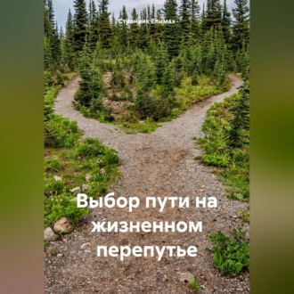 Обложка книги «Выбор пути на жизненном перепутье»