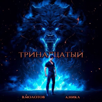 Обложка книги «Тринадцатый. Том IV»