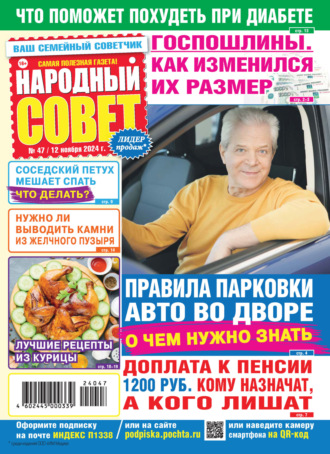 Обложка книги «Народный совет №47/2024»