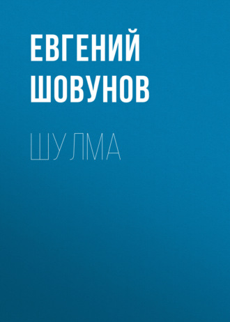 Обложка книги «Шулма»