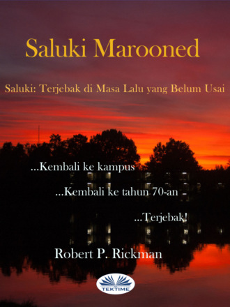 Обложка книги «Saluki Marooned»