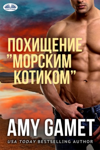 Обложка книги «Похищение ”Морским Котиком”»