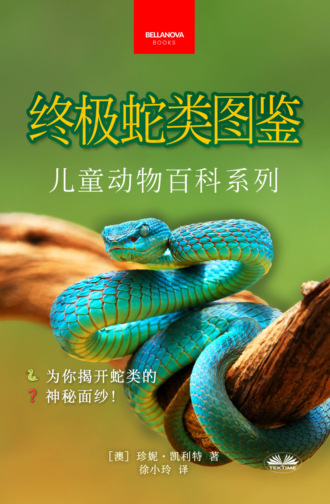 Обложка книги «《终极蛇类图鉴：儿童版》»