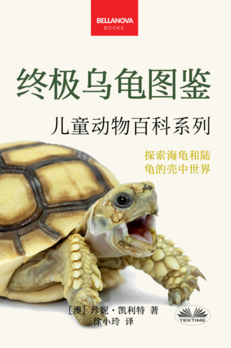 Обложка книги «《终极乌龟图鉴：儿童版》»