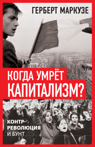 Обложка книги «Когда умрёт капитализм? Контрреволюция и бунт»