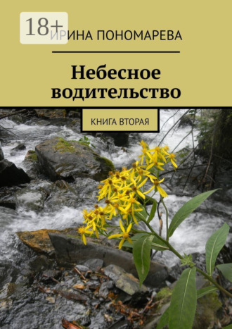 Обложка книги «Небесное водительство. Книга вторая»