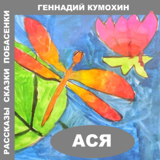 Обложка книги «Рассказы, сказки, побасенки. Ася»