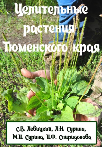 Обложка книги «Целебные растения Тюменского Края»
