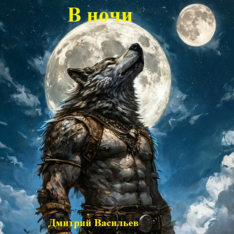 Обложка книги «В ночи»
