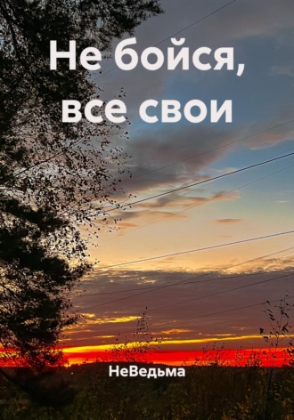 Обложка книги «Не бойся, все свои»