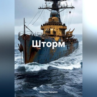 Обложка книги «Шторм»