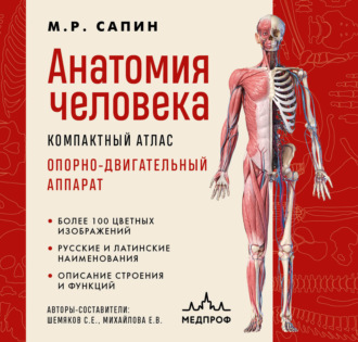 Обложка книги «Анатомия человека. Компактный атлас. Опорно-двигательный аппарат»