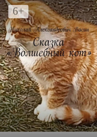Обложка книги «Сказка «Волшебный кот»»