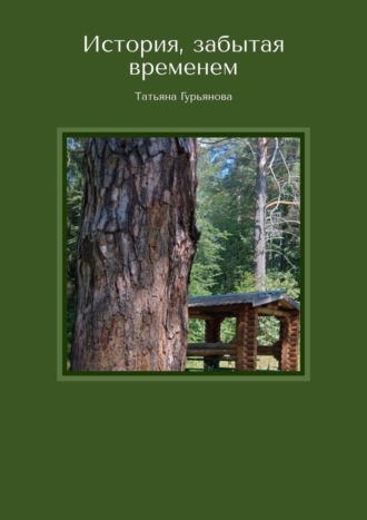Обложка книги «История, забытая временем»