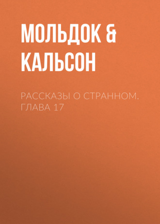 Обложка книги «Рассказы о странном. Глава 17»