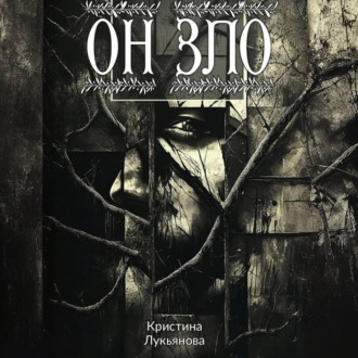 Обложка книги «Он зло»