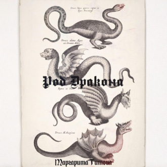Обложка книги «Род Дракона»