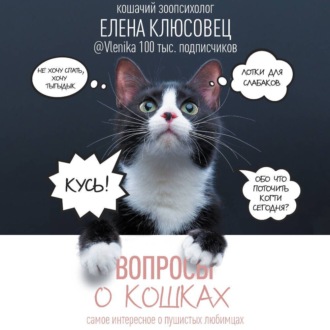 Обложка книги «Вопросы о кошках. Самое интересное о пушистых любимцах»