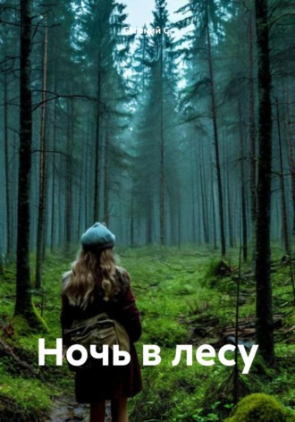 Обложка книги «Ночь в лесу»