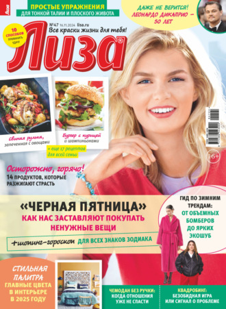 Обложка книги «Журнал «Лиза» №47/2024»