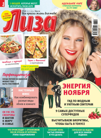 Обложка книги «Журнал «Лиза» №48/2024»