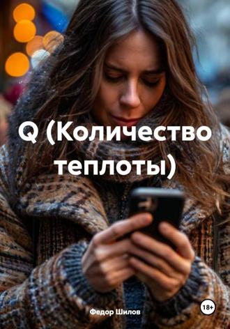 Обложка книги «Q (Количество теплоты)»