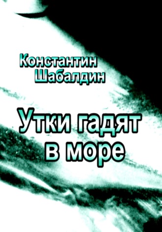 Обложка книги «Утки гадят в море»