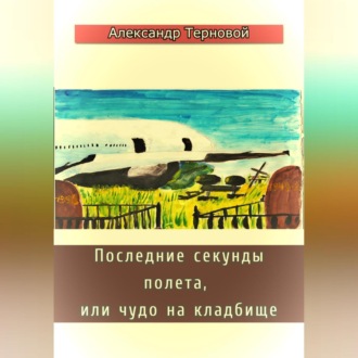 Обложка книги «Последние секунды полета, или чудо на кладбище»