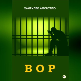 Обложка книги «Вор»