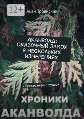 Обложка книги «Аканволд: Сказочный замок в нескольких измерениях. Просто верь в чудеса»