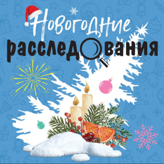 Обложка книги «Новогодние расследования»