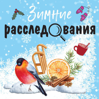 Обложка книги «Зимние расследования»