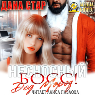 Обложка книги «Несносный босс Дед Мороз»
