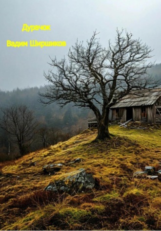 Обложка книги «Дурачок»